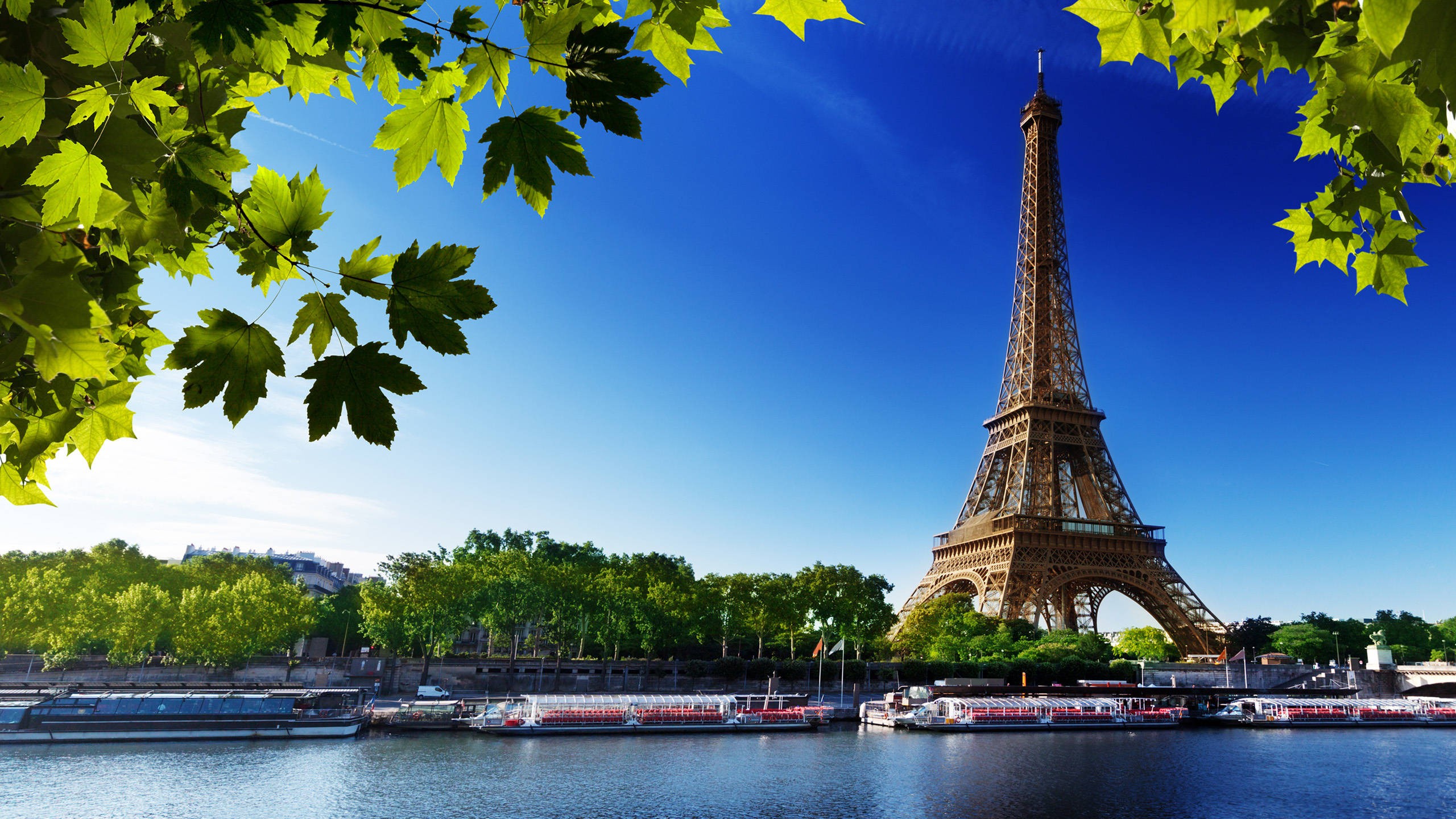 Paris to Disneyland Transfer: Why Families Prefer Private Chauffeurs Over Trains